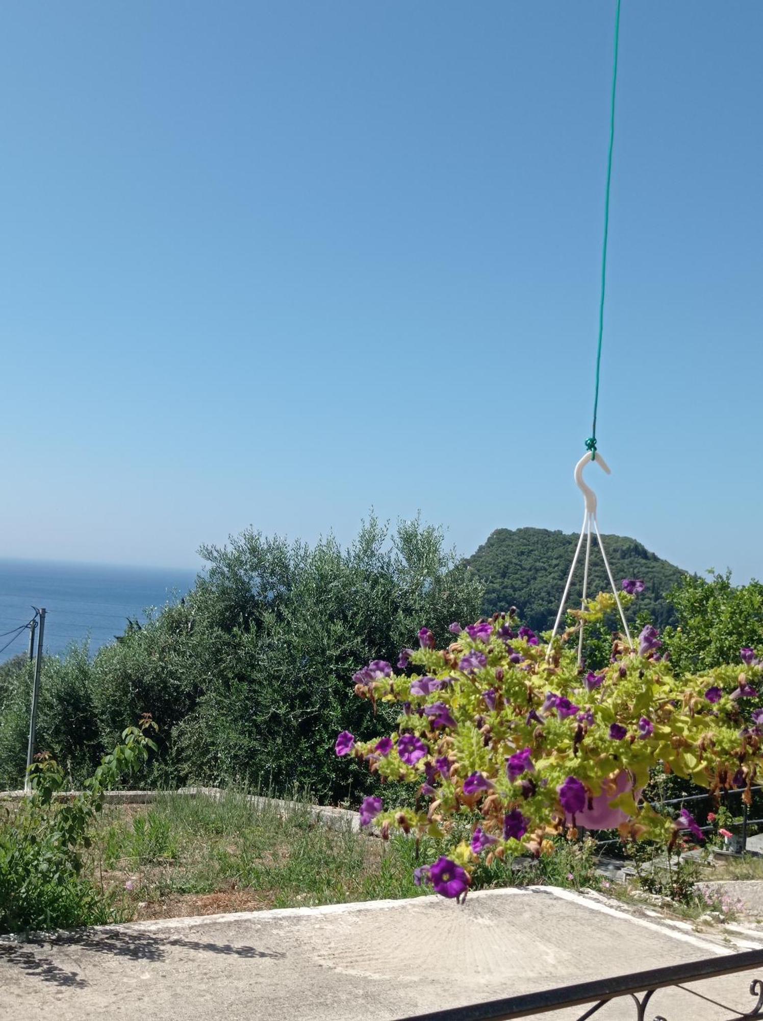 Pensiune Litheri-studios&apartment Paleokastritsa