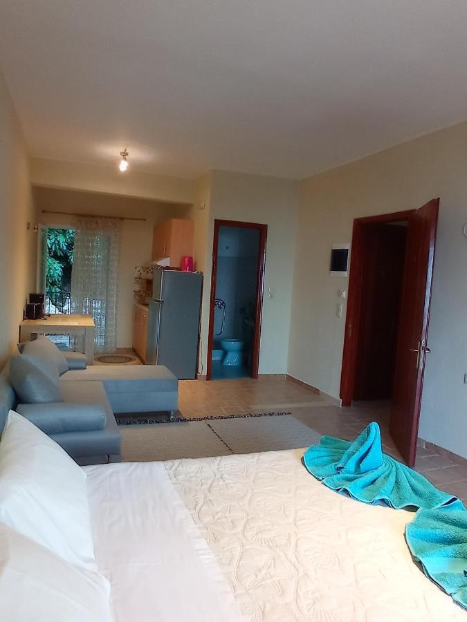 Litheri-studios&apartment Pensiune *